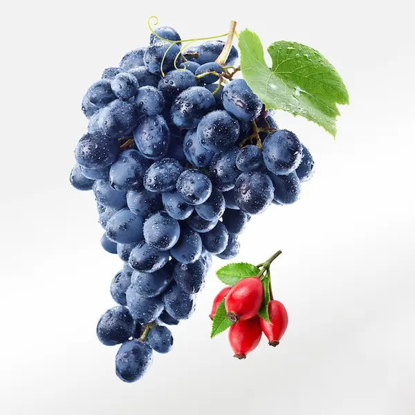 Trauben und OPC Kapsel